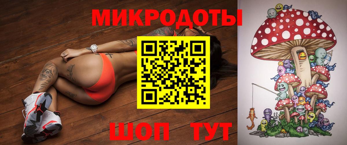Псилоцибиновые грибы Psilocybine cubensis Сургут
