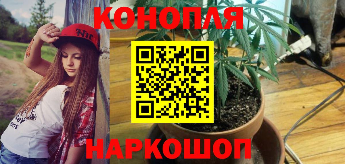 Бошки Шишки планчик  Марихуана SATIVA & INDICA  Сургут  Бошки Шишки планчик  Вход с VPN  Шишки марихуана Bruce Banner 
